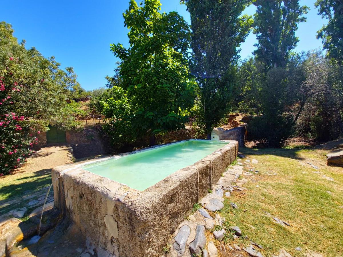 Apartamentos Rurales Tinguaton Aldeanueva de Barbarroya Екстер'єр фото